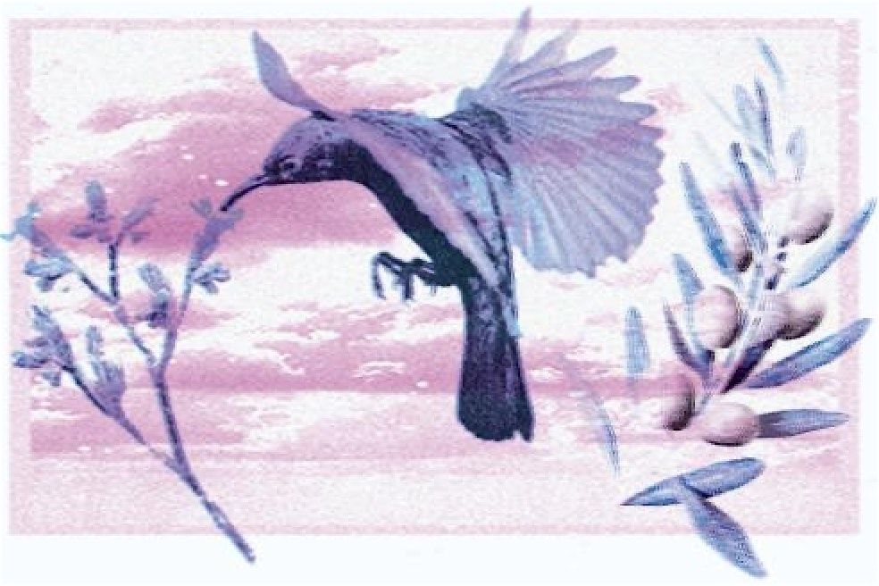 Movement and Meditation for Collective Liberation - Outdoor Season
