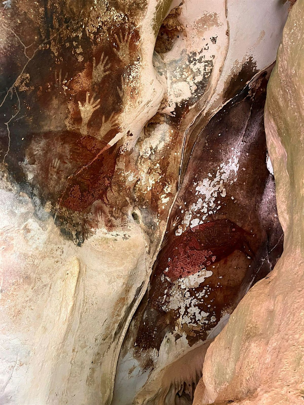 Membrane - A VR work by The Observatory and DuckUnit (31 Oct -16 Nov 2025)