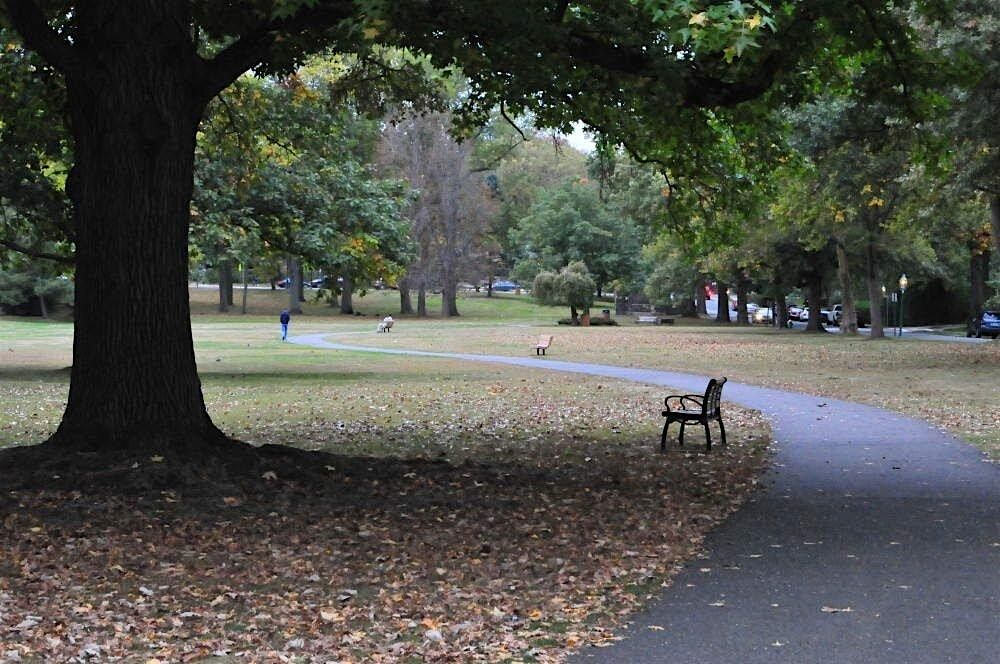 Stride for your Mind:  Walk for Mental Health Awareness