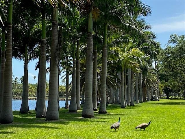 UF\/IFAS Palm Short Course-In-Person  and Online!