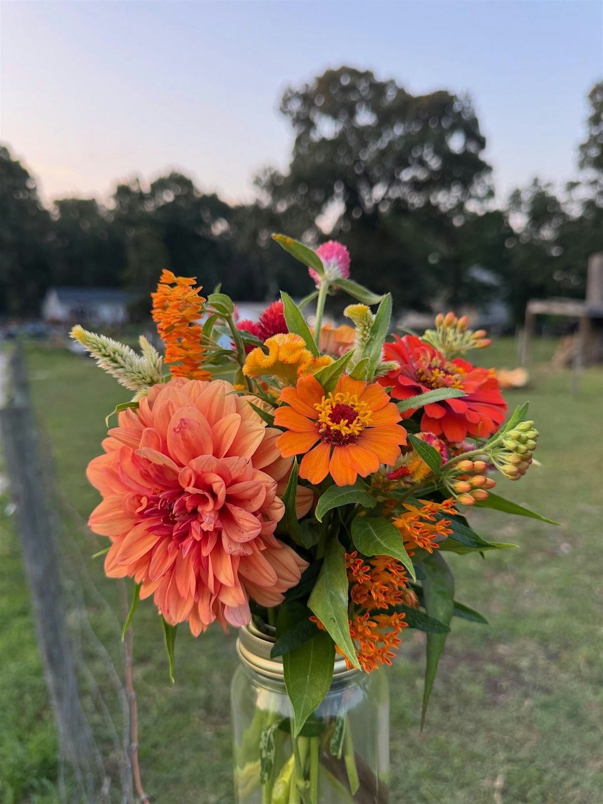 Sip and Bloom Farm Fundraiser
