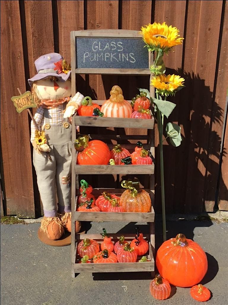 NW Glass Pumpkin Patch- Sky Nursery in Shoreline, WA