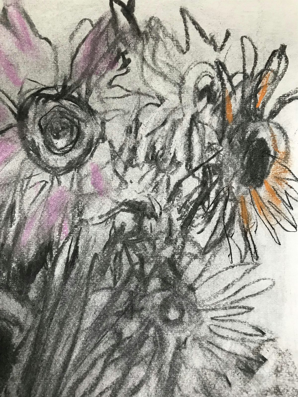 Sketchpath - Autumn Flora Fantastica