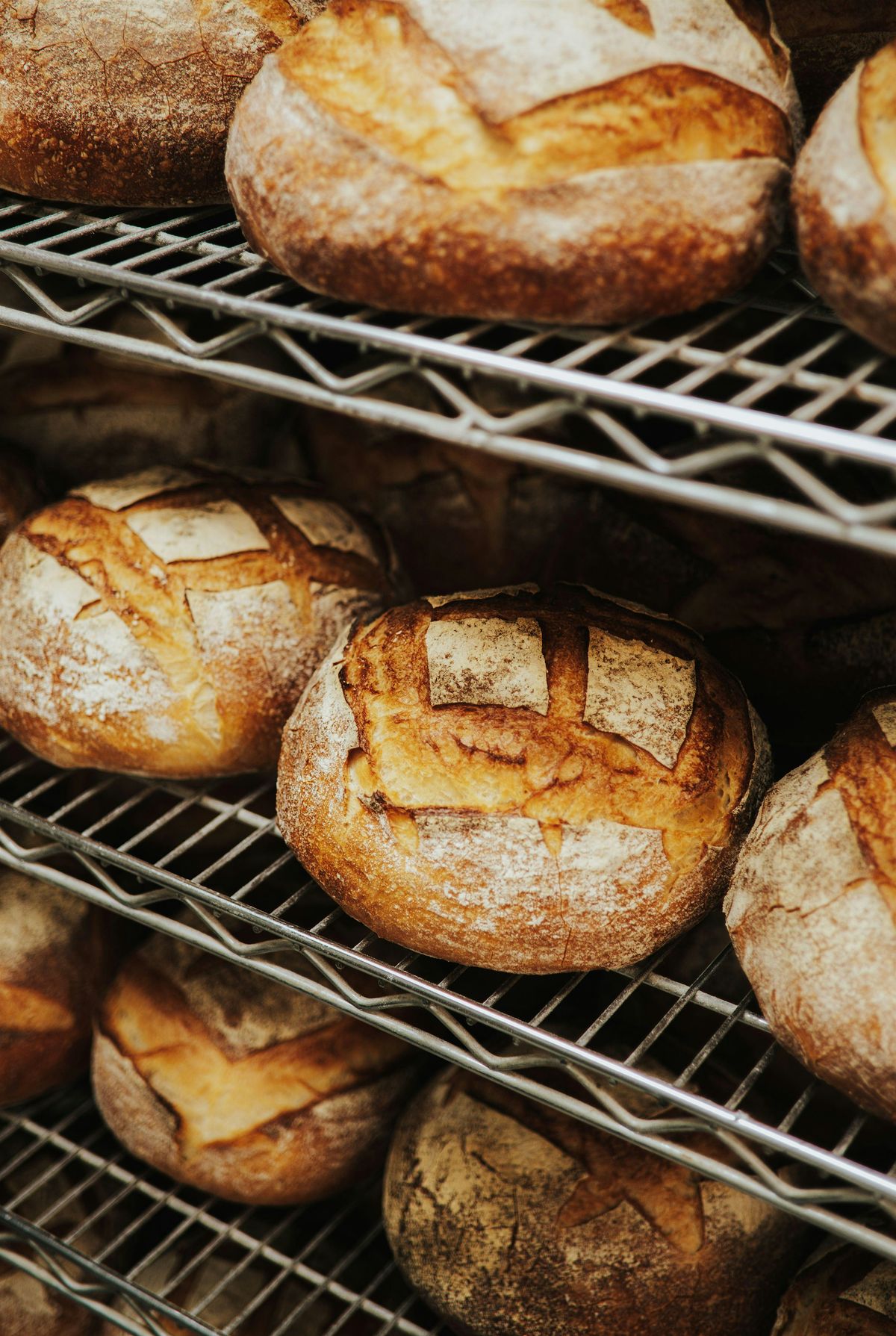 Advanced Sourdough