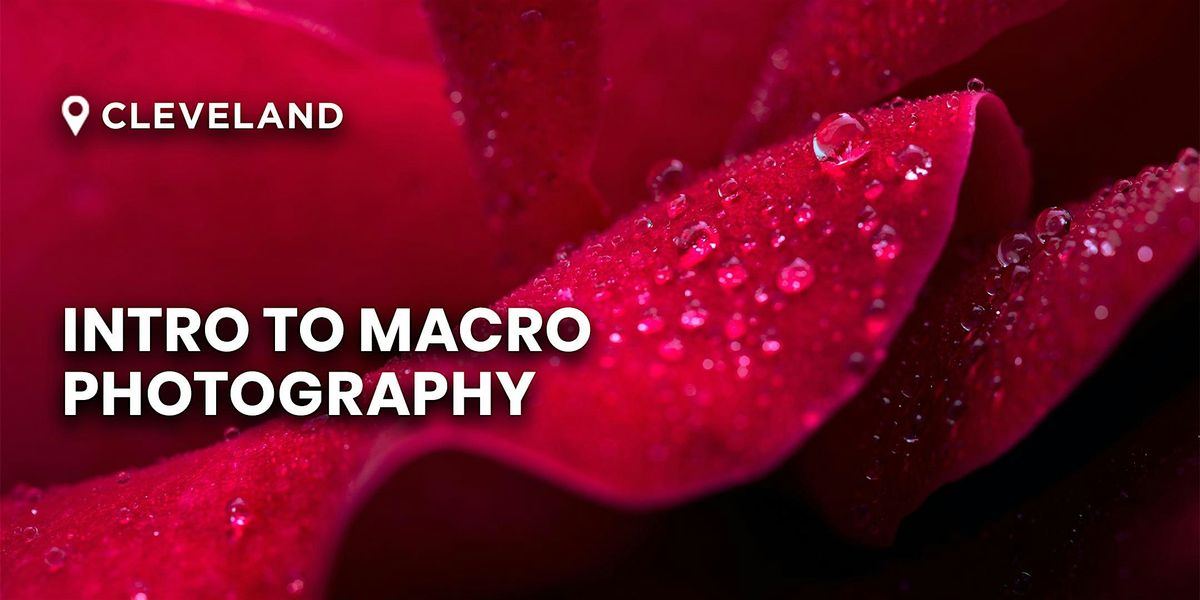 Intro to Macro Photography | Cleveland, OH
