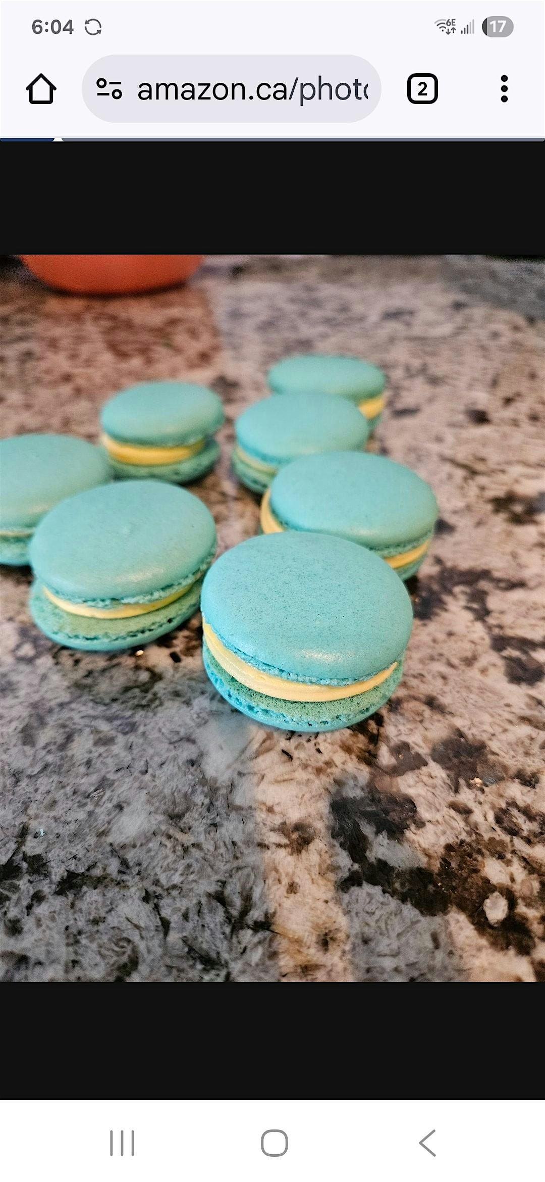 Baba's French Macaron baking class