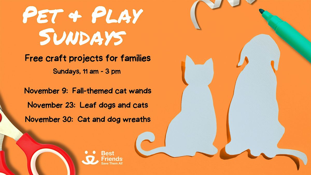 Pet and Play Sundays with Best Friends