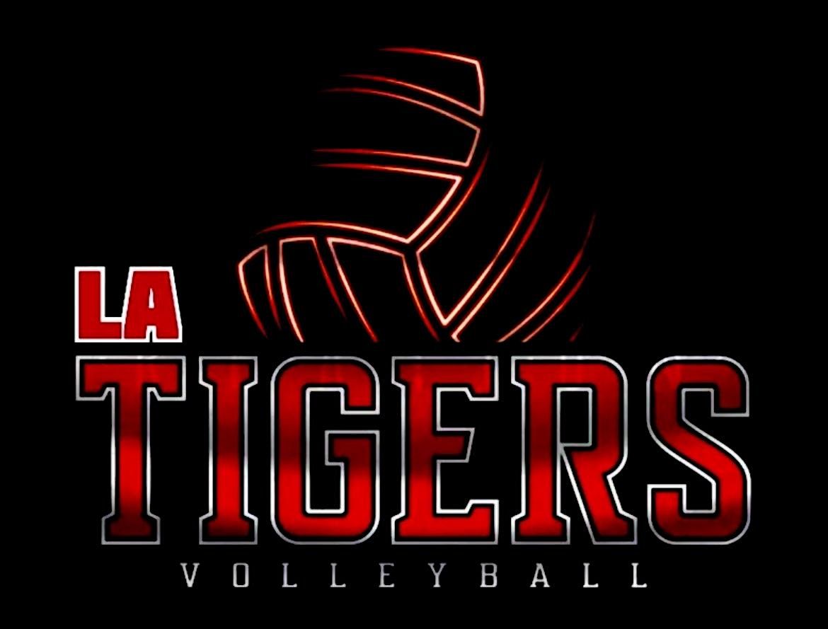 Beach Volleyball every Sunday!