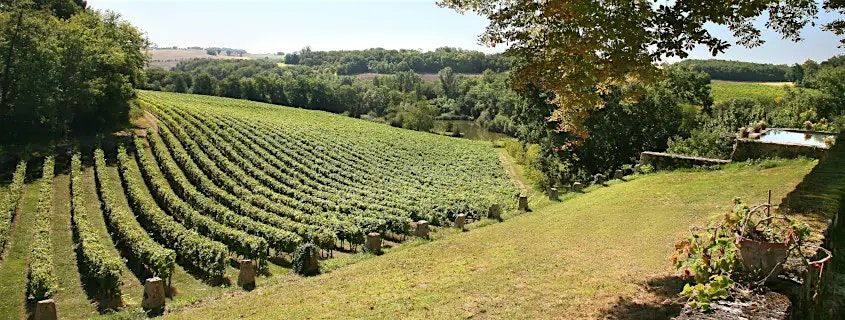 GUIDED WINE TASTING SUD-OUEST