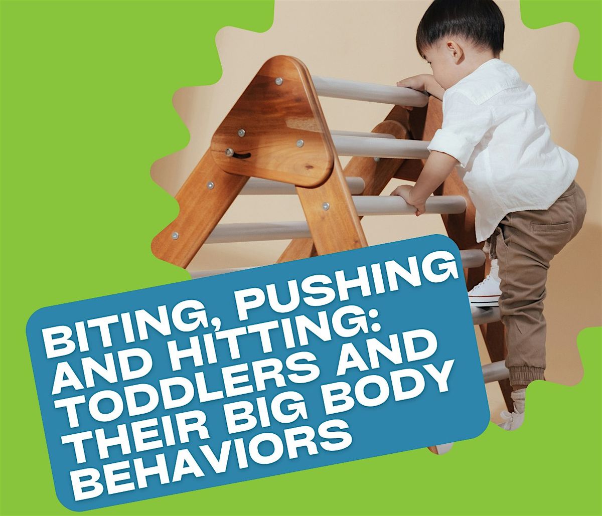 Biting, Hitting and Pushing: Toddlers and Their Big Body Behaviors