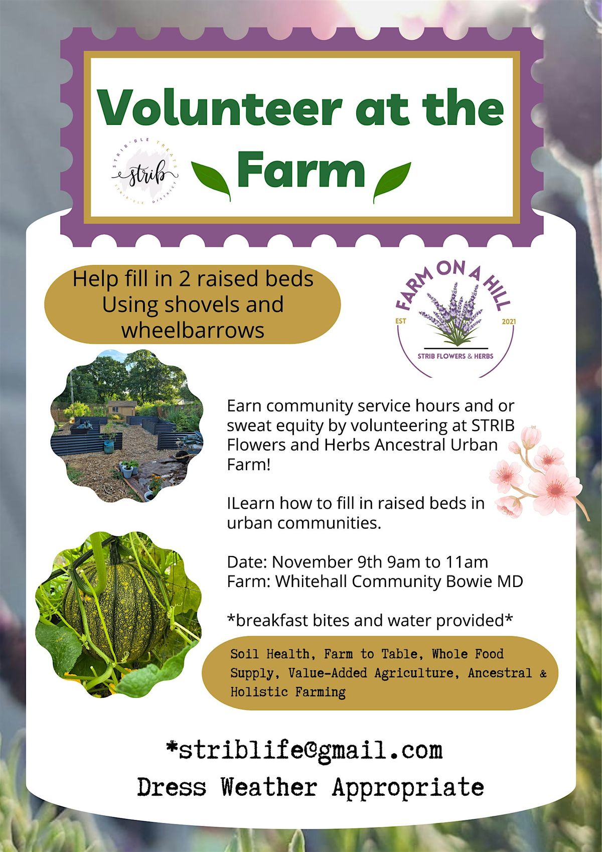 Raised Beds Hands On Workshop & Service Hours