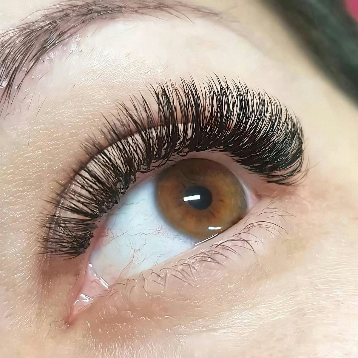 \u2605 Eyelash Extensions Certified Training  Course (Kit Included)