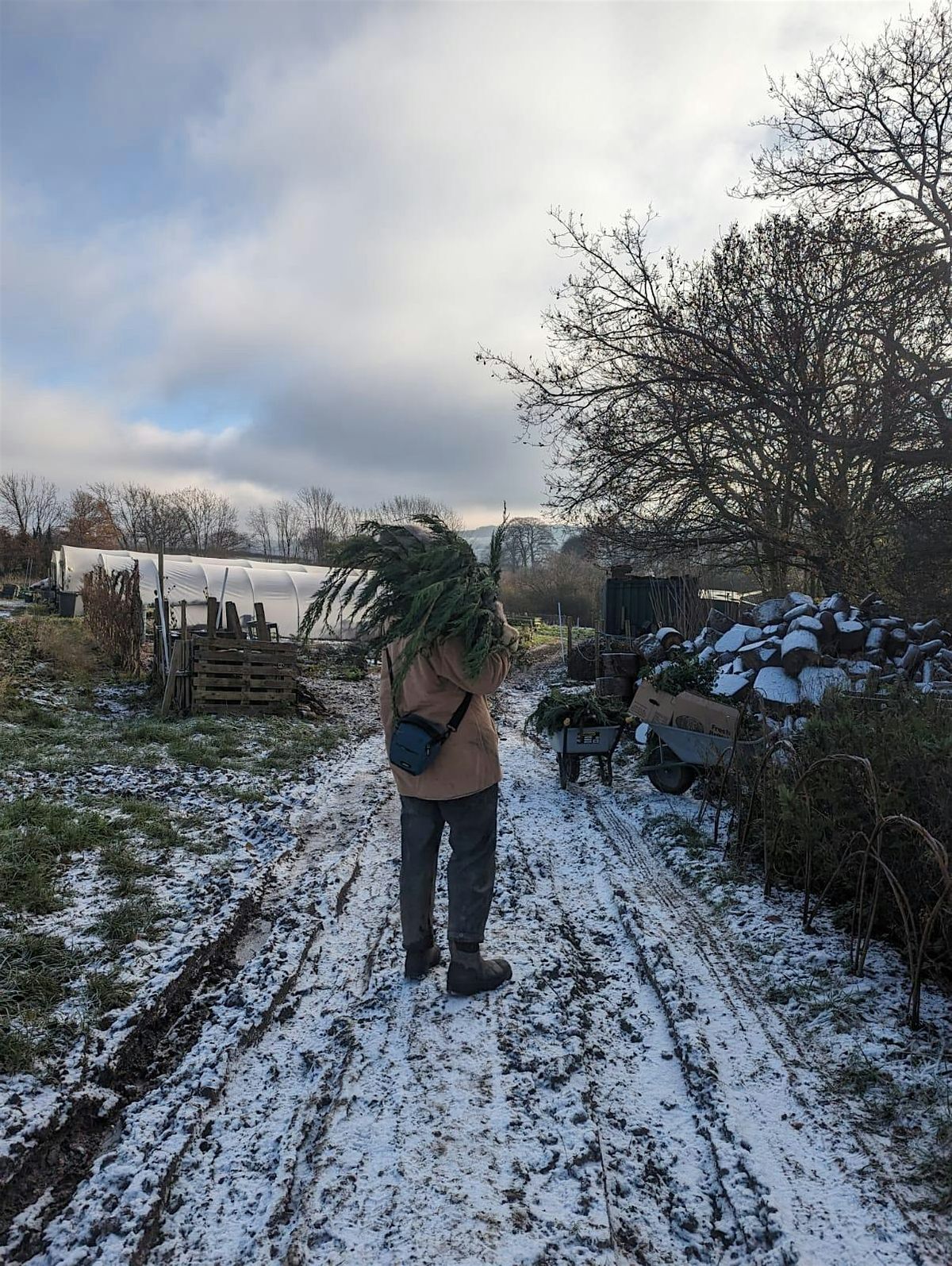 Christmas Wreath Workshop