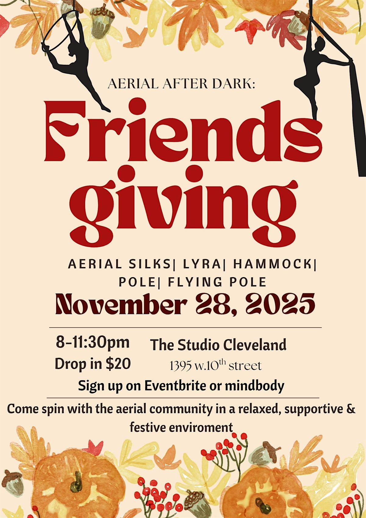 Aerial after Dark: Friendsgiving