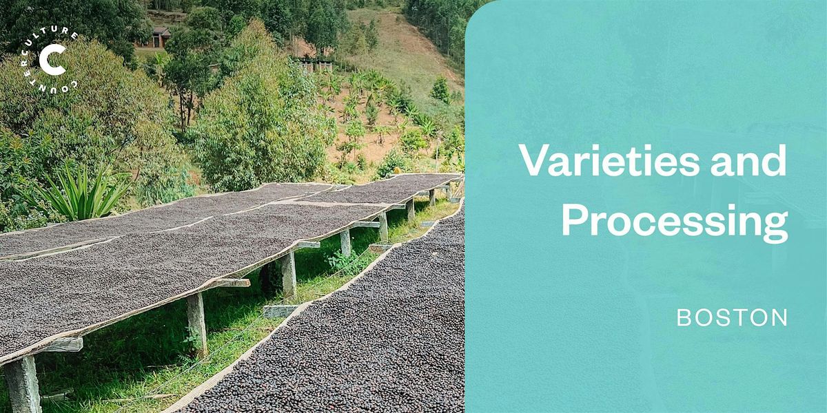 Coffee Origins: Varieties and Processing - Boston
