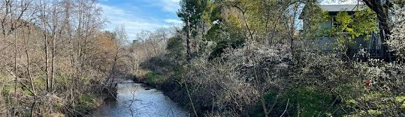 Royer\/ Saugstad Creek Cleanup Event -- Nov. 15, 2025