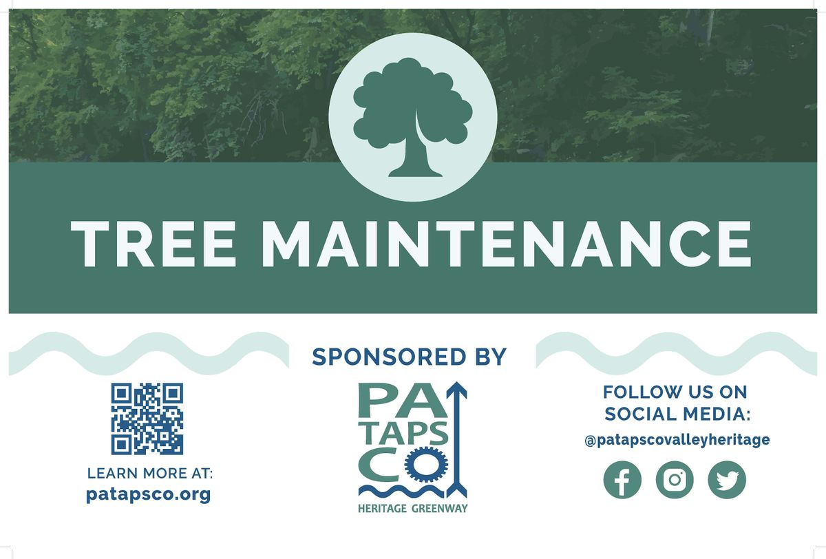 PHG Tree Maintenance: Milford Mill United Methodist Church