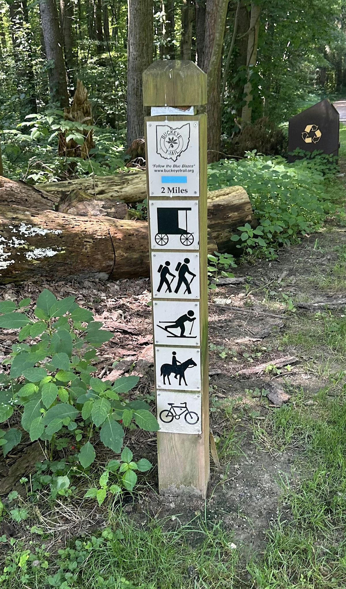 Little Loop Circuit Hike #11 - Mogadore 13 to 17