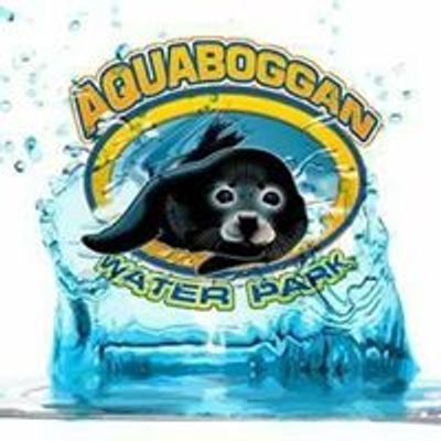 Aquaboggan Waterpark