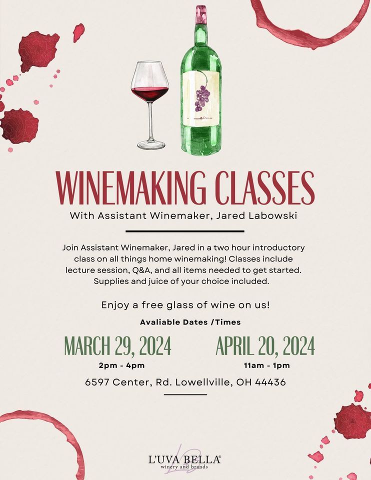 Winemaking Classes with Assistant Winemaker Jared | Luva Bella Winery ...