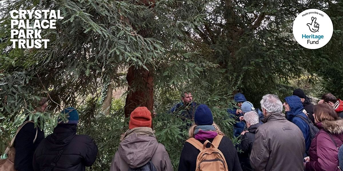 Autumn Heritage Tree Walk with Greg Packman - the English Garden Landscape