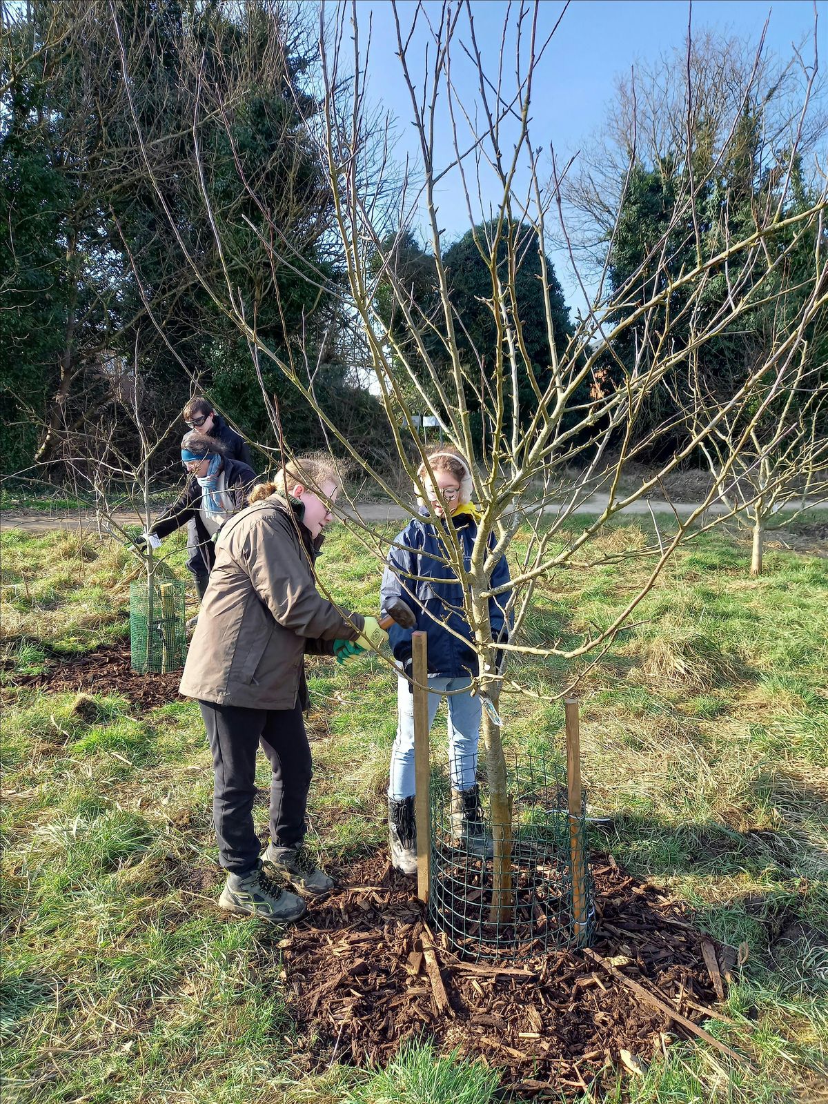 Bedfordshire Youth Rangers at Stockingstone Meadow, Luton
