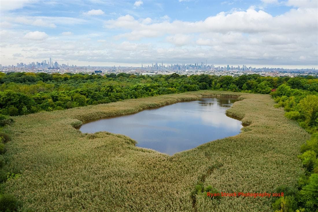 Volunteer Landscaping and Cleanup at Ridgewood Reservoir