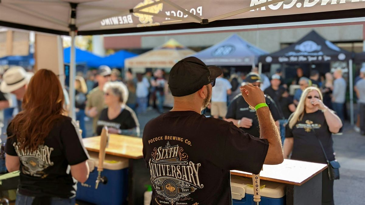 Pocock Brewing 10th Anniversary Beer Festival