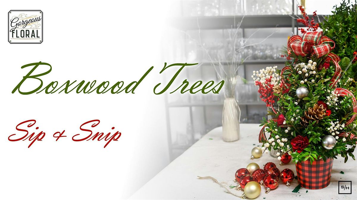 Boxwood Trees Sip & Snip
