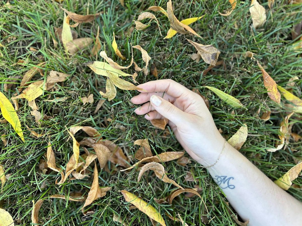 Nourishing Rest: A day retreat for parents and caregivers