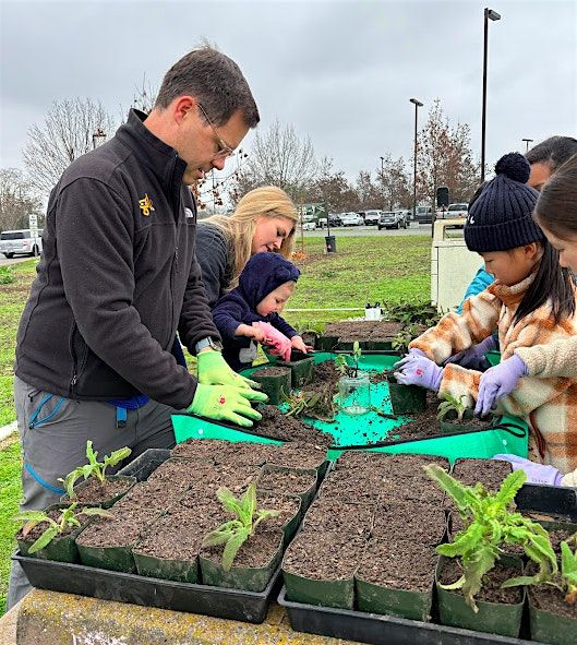 Shrub Transplanting Workshop