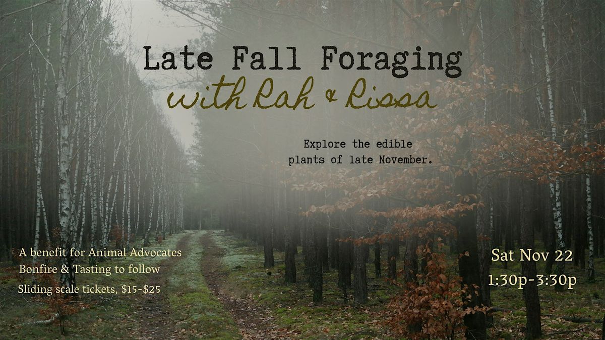 Late Fall Foraging With Rah & Rissa