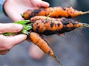 Farm tour and tasting