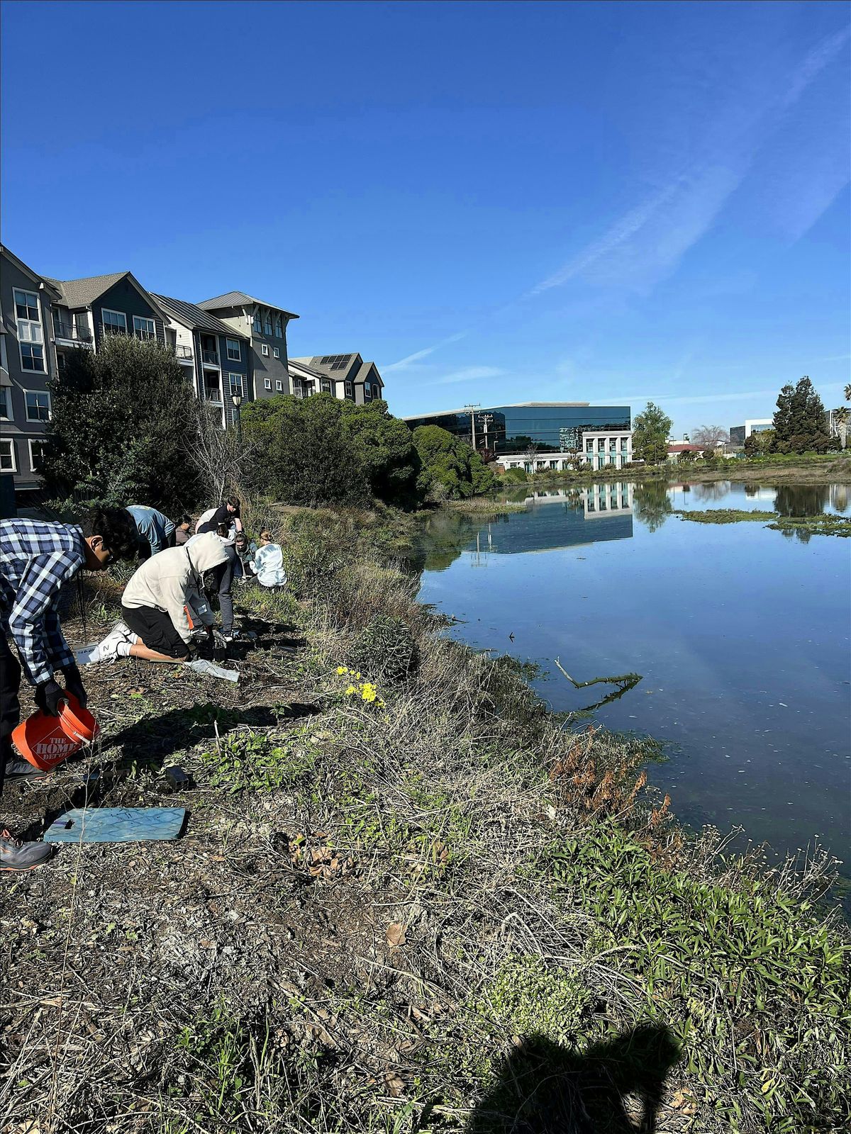 Volunteer Outdoors in Redwood City: Habitat Restoration at Redwood Creek