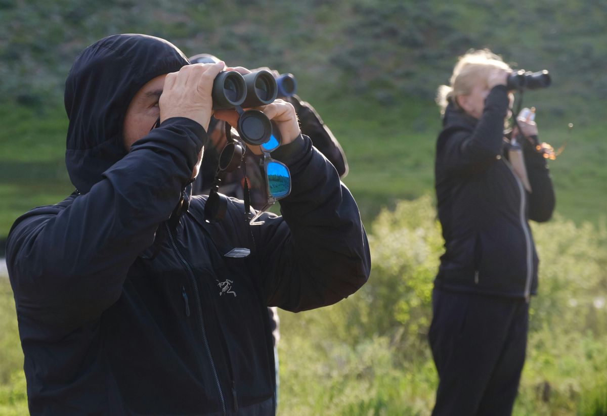 Birding on the 910 Ranch