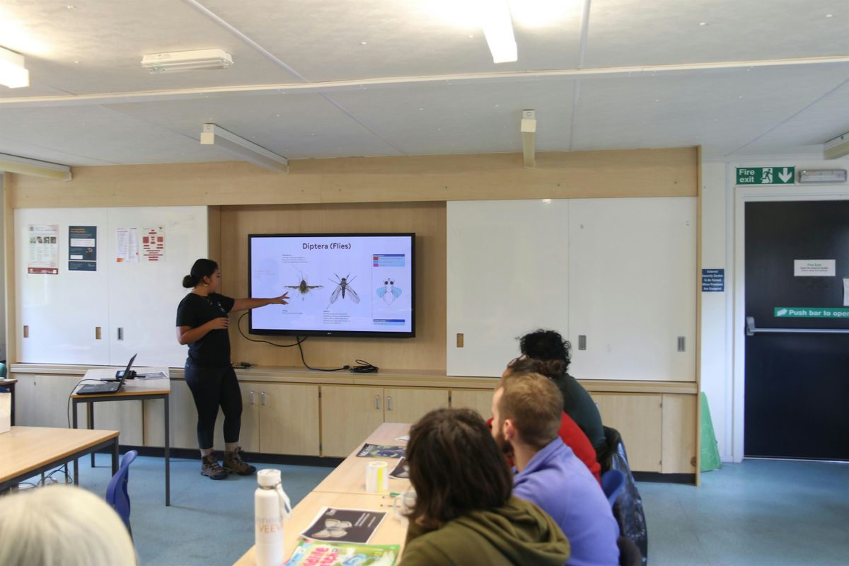 Buzz Map: Insect DNA Mapping