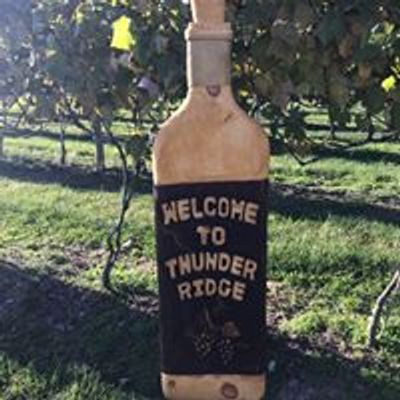 Thunder Ridge Vineyards