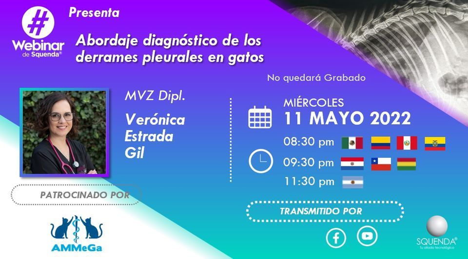 Abordaje Diagn stico De Los Derrames Pleurales En Gatos Online May 