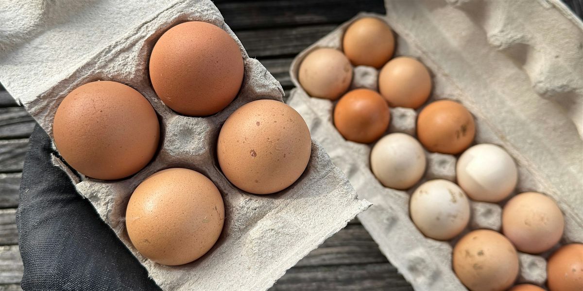 Fall Garden Cooking Class: Veggie and Egg Scramble