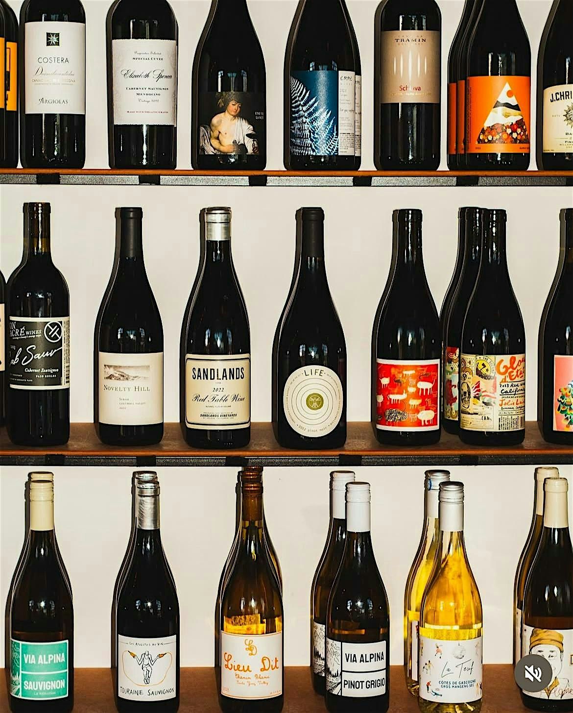 Not Just Coffee Wine Tasting