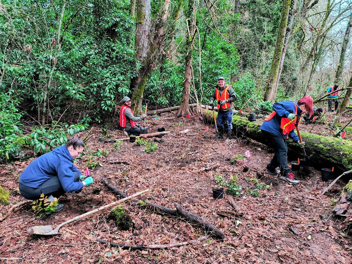 Native Planting at Dirksen Nature Park