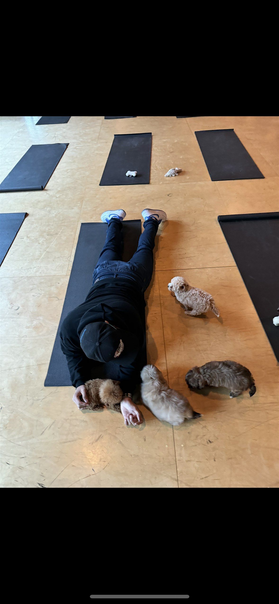 PUPPY YOGA DETROIT