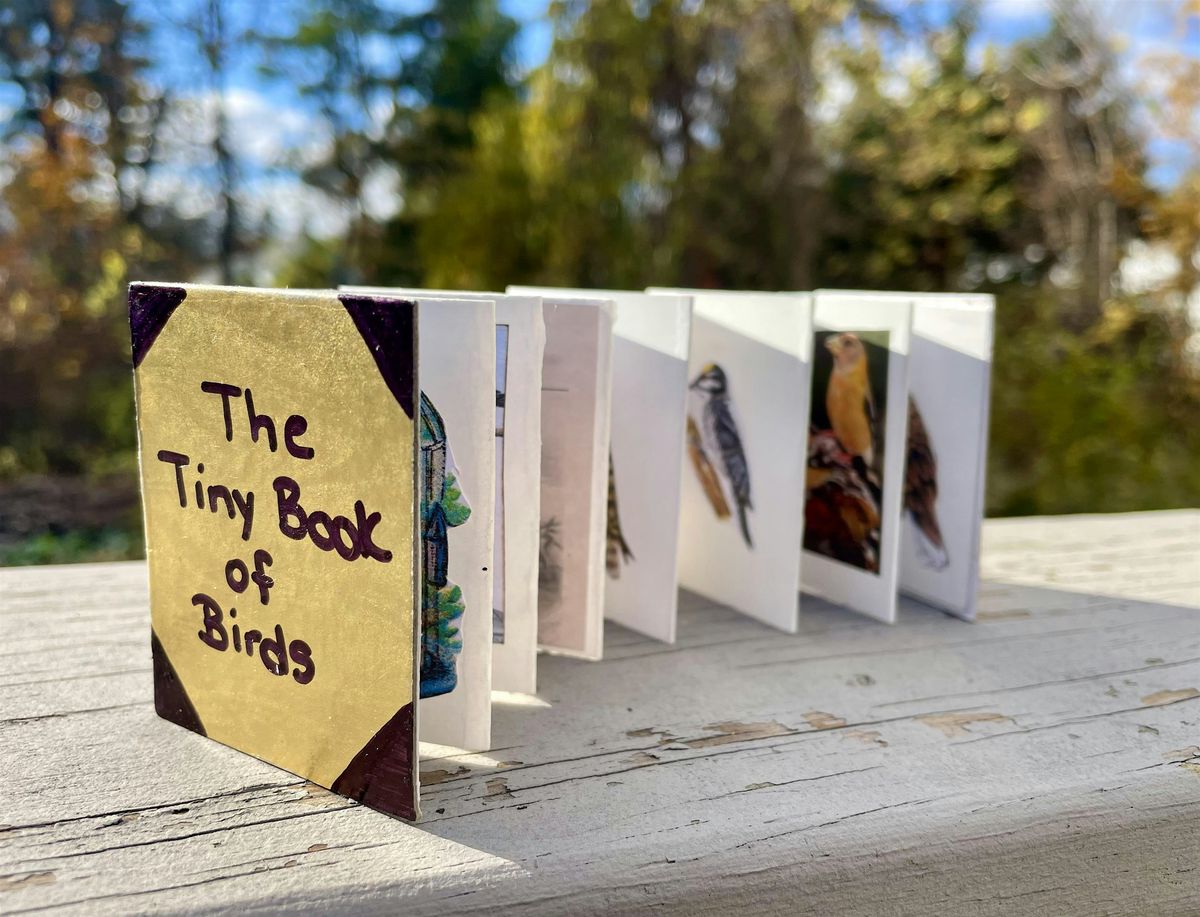 Tiny Bird Book Contemplative Workshop