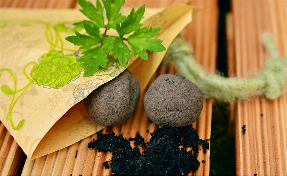 Seed Bombs Away!