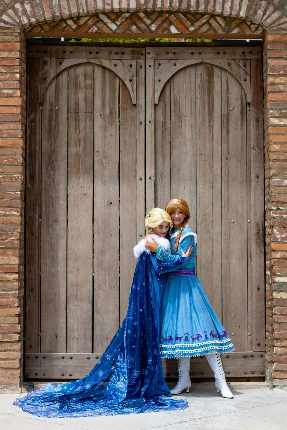 A Frozen Cookie Party With Elsa & Anna