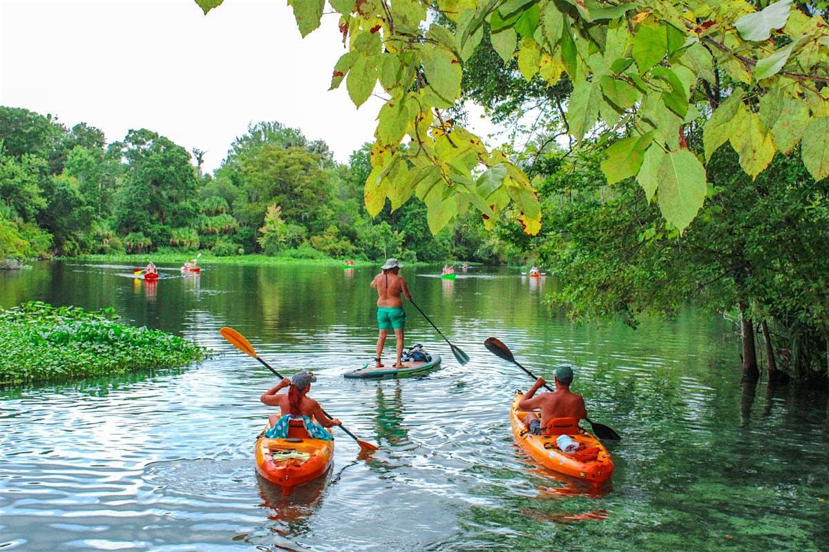 Wekiva River Paddle Meetup