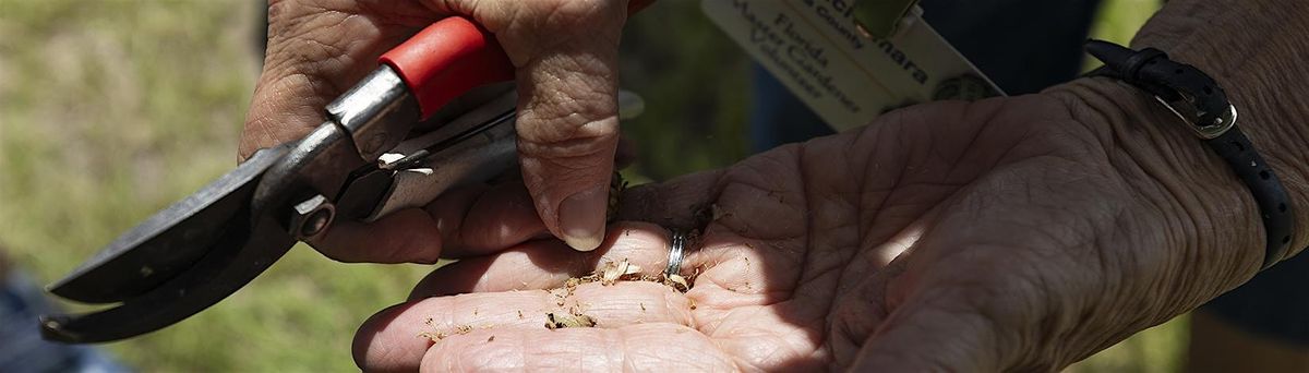 Gardening from Seeds for the Home Gardener