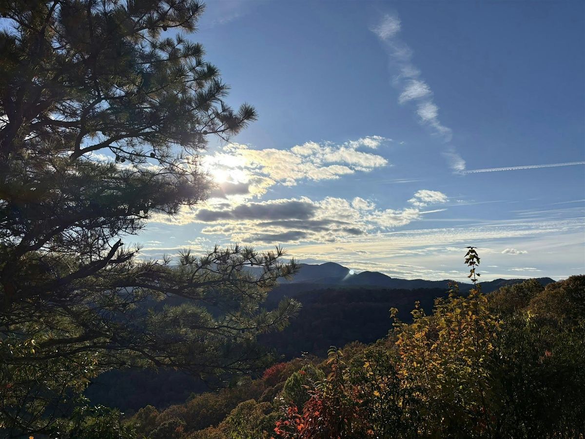 Adoption Connection Asheville