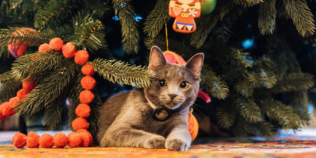 Ornament Decorating at The Red Lion Inn