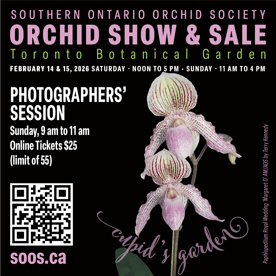 Photographers' ONLY session (Uni and Tripods permitted)